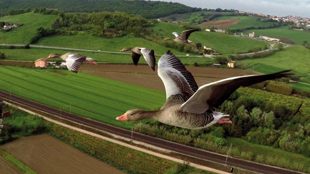 Equilibria, la natura in tutte le sue forme