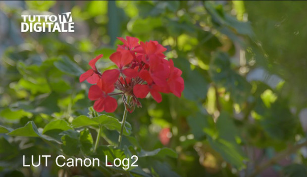 Canon C200 Test Footage 4K RAW by Tutto Digitale