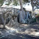 Cinecittà Cine Garden