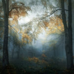 © Veselin Atanasov, Bulgaria, Open Photographer of the Year, Open, Landscape & Nature (2018 Open competition), 2018 Sony World Photography Awards