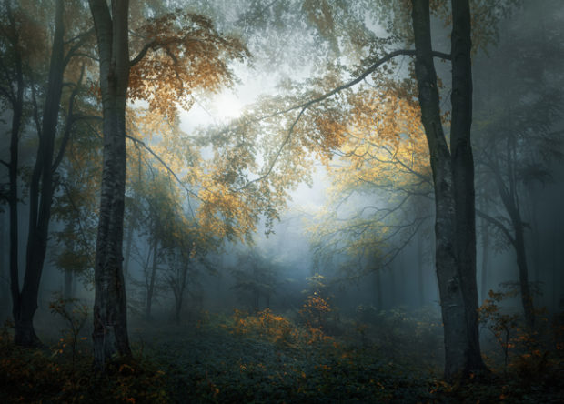 Sony World Photography Awards, l’alba della 12ma edizione