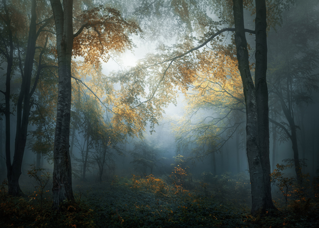 © Veselin Atanasov, Bulgaria, Open Photographer of the Year, Open, Landscape & Nature (2018 Open competition), 2018 Sony World Photography Awards