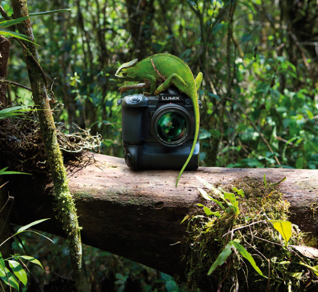 Panasonic GH5S e G9, come vanno?
