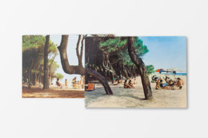 Pinus Pinea @ Andrea Carboni
