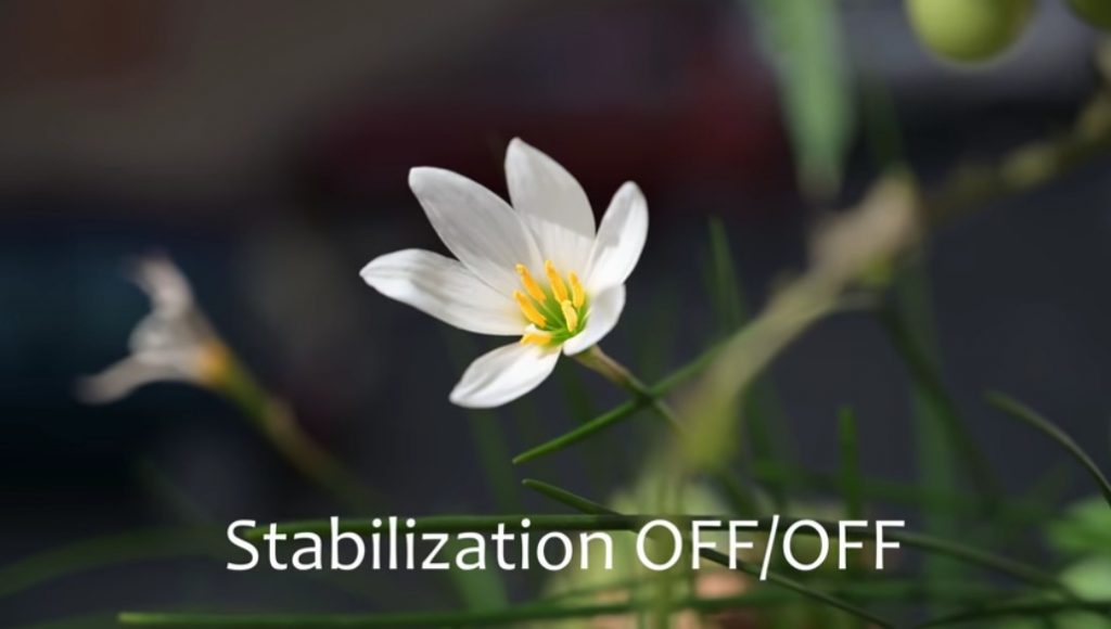NikonZ7_StabilizationOFF_OFF