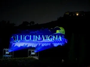 Luci in vigna