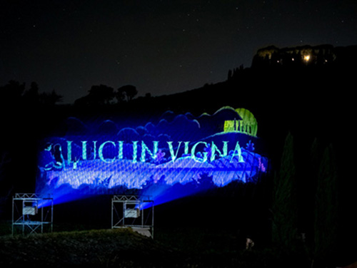 Luci in vigna