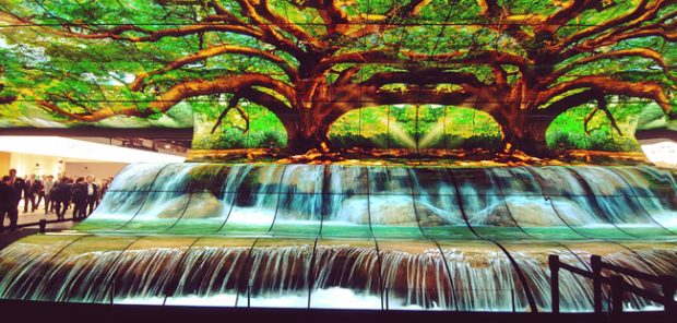 Schermi OLED LG, una cascata di colori