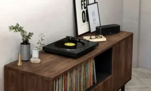 Sony PS-LX310BT