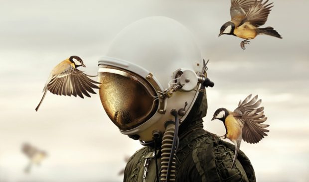 SWPA 2019: into the great wide open