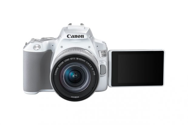 Canon EOS 250D, la reflex per chi inizia