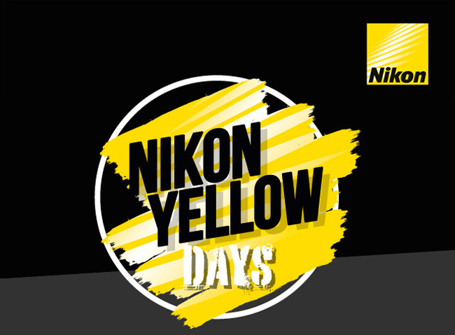 Nikon Yellow Days