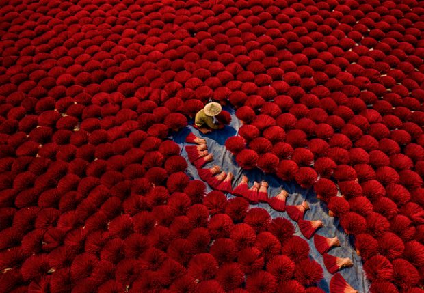 Sony World Photography Awards 2020, ultimi giorni