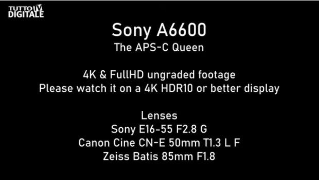 Sony Alpha 6600 anteprima test