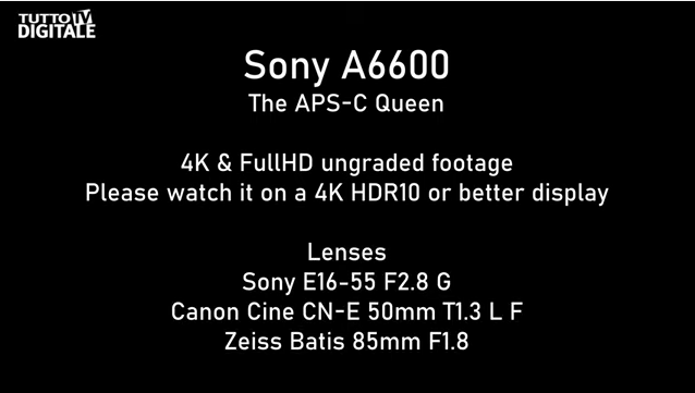 Sony Alpha 6600 video test
