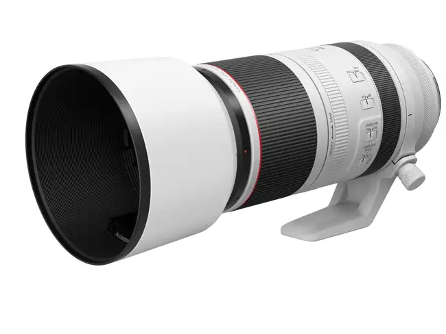 Canon RF 100-500mm F4.5-7.1L IS USM