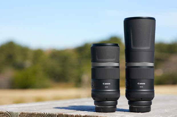 Canon, nuove ottiche RF-mount per EOS R