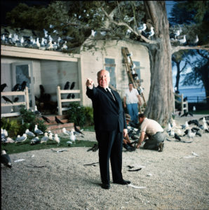 Alfred Hitchcock, Uccelli, 1963 © Universal Pictures