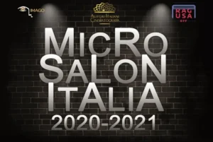 MicroSalon 2020-2021