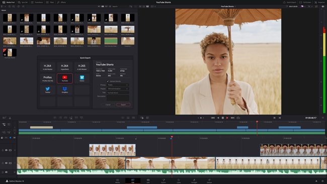 Blackmagic Design DaVinci Resolve 18.1