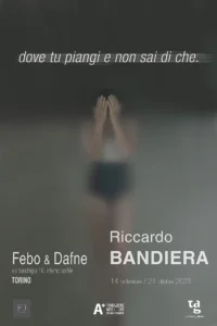 Riccardo Bandiera - dove tu piangi e non sa di che