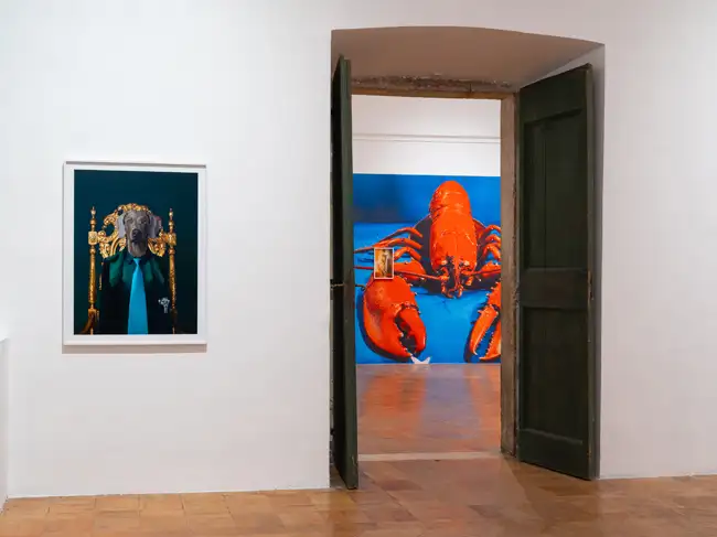 © Daniele Molajoli