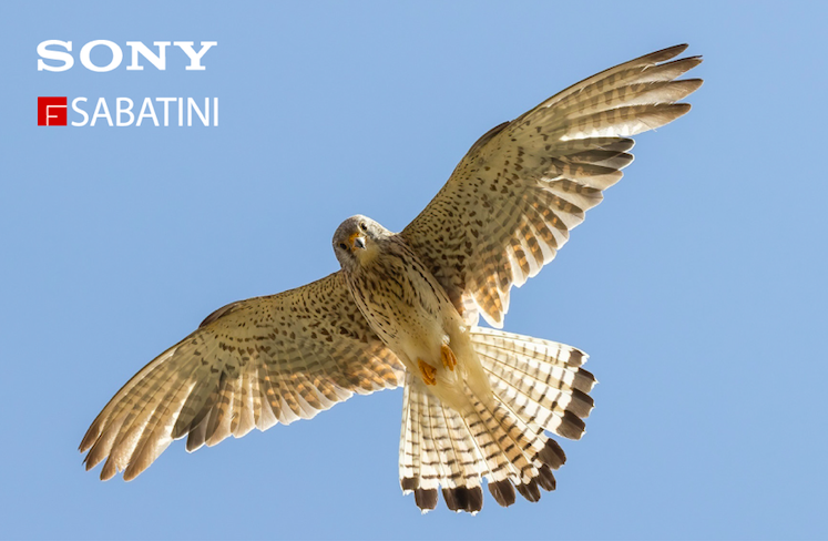 Workshop Sabatini Nature Experience