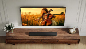 Sony Bravia Theatre 7